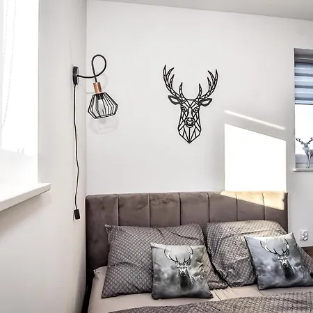 Apartament Magiczny Widok Z Widokiem Na Gory Bialy Dunajec Poronin Exterior photo