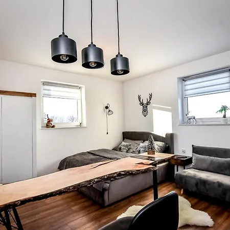 Apartament Magiczny Widok Z Widokiem Na Gory Bialy Dunajec Poronin Exterior photo