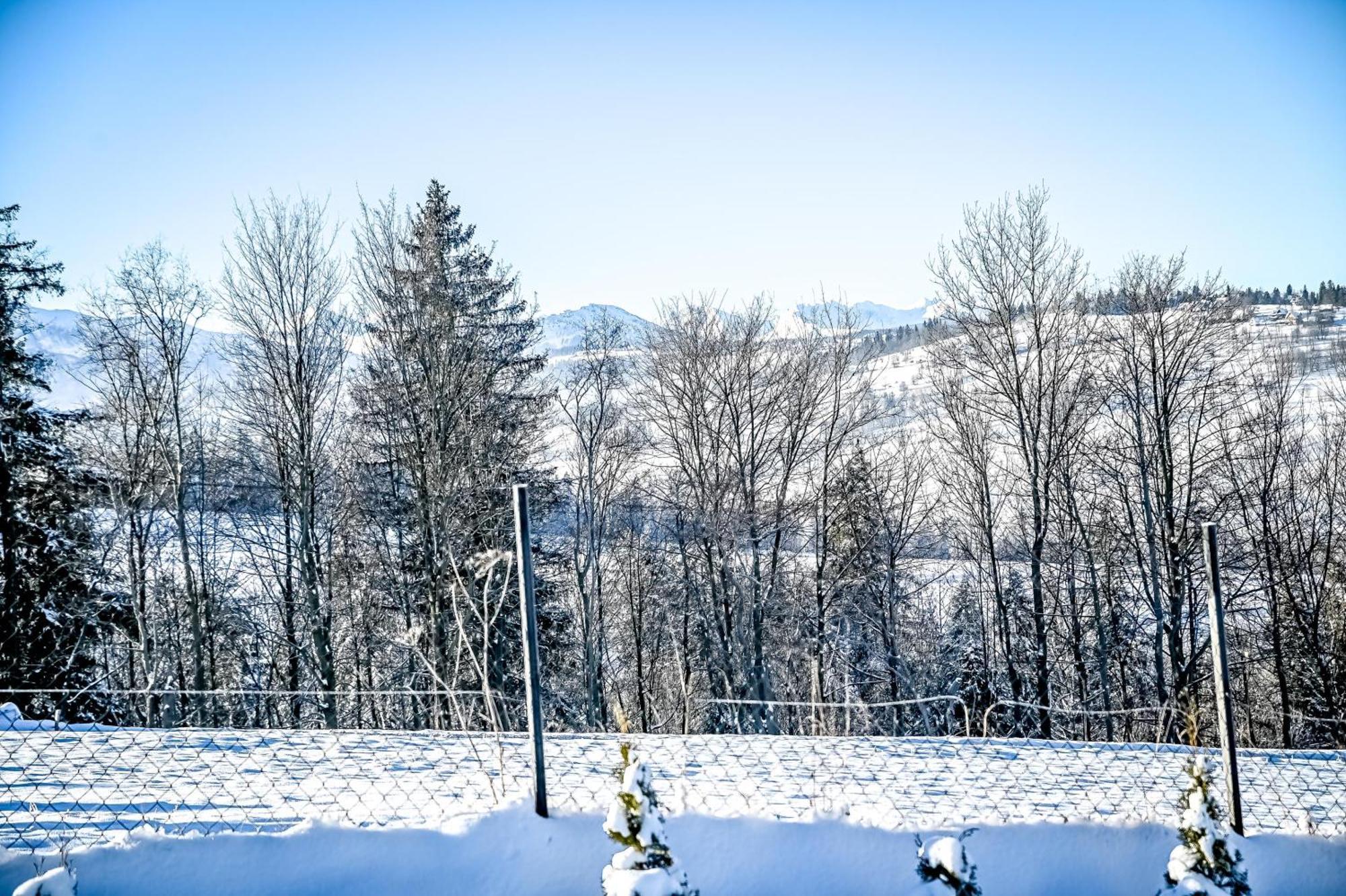 Magiczny Widok Z Widokiem Na Gory Bialy Dunajec